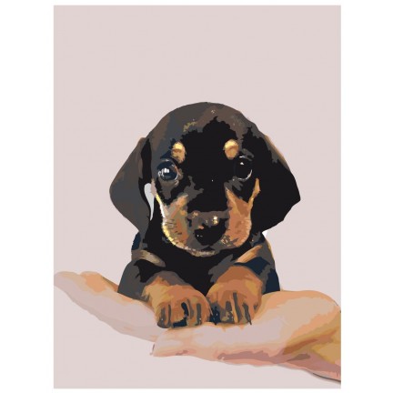 Maalaa numeroilla NEGV-zlit090919V3-1-3040