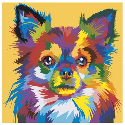 Maalaa numeroilla PA211