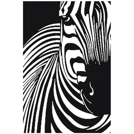 Maalaa numeroilla PA95