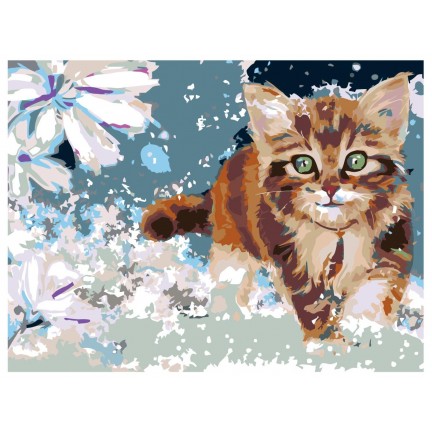 Maalaa numeroilla RA014 Maalaa numeroilla RA014