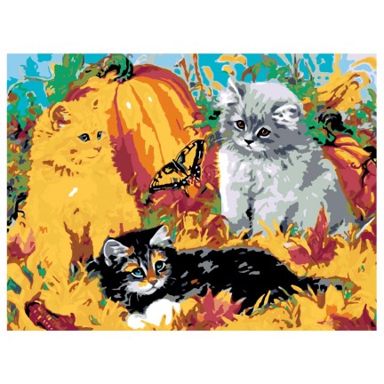 Maalaa numeroilla RA016 Maalaa numeroilla RA016