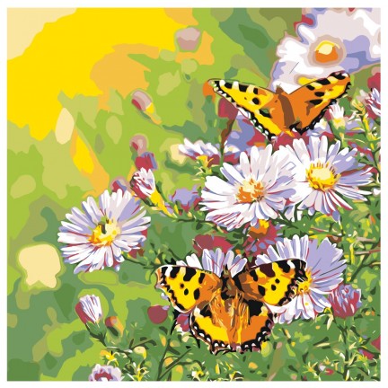 Maalaa numeroilla RA156