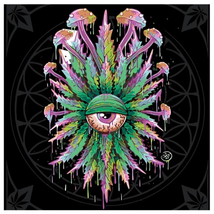 Maalaa numeroilla RA254