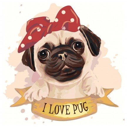 Maalaa numeroilla RA374