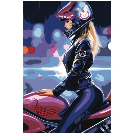 Maalaa numeroilla RO148