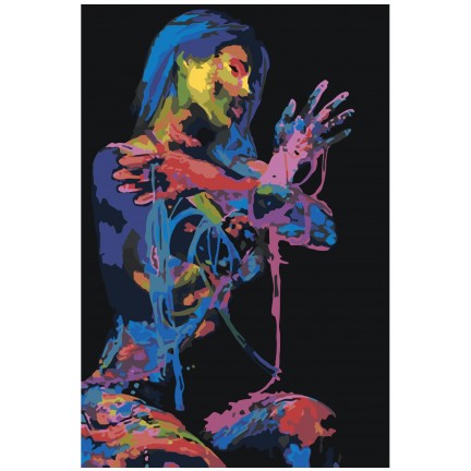 Maalaa numeroilla RO204