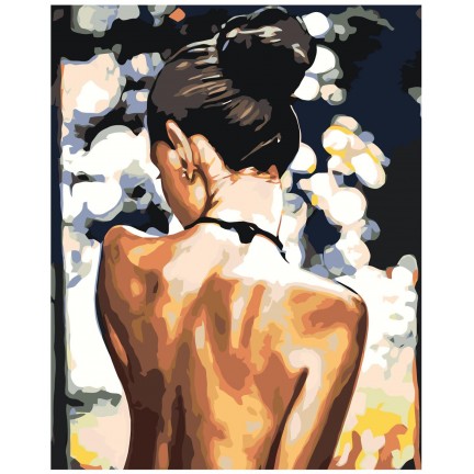 Maalaa numeroilla RO236