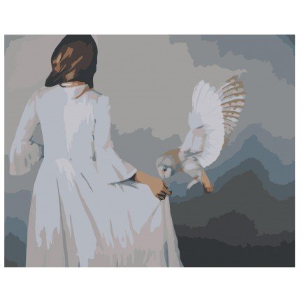 Maalaa numeroilla RO268