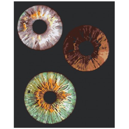 Maalaa numeroilla ROOM-IZRAD01