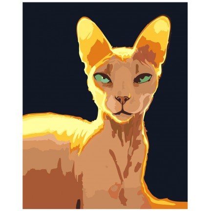 Maalaa numeroilla Z-AB135