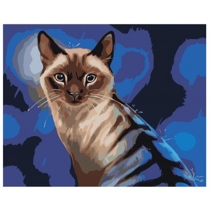 Maalaa numeroilla Z-AB17