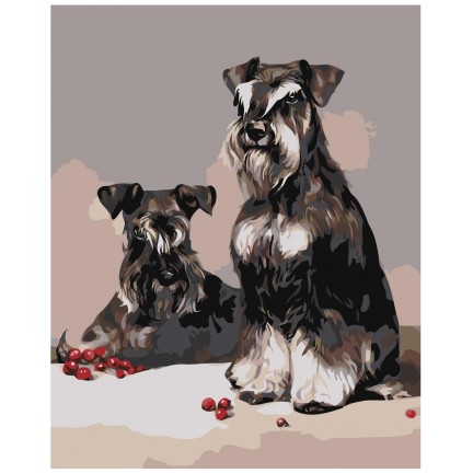 Maalaa numeroilla Z-AB204