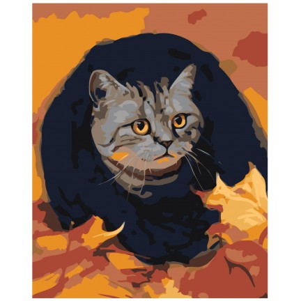 Maalaa numeroilla Z-AB211 Maalaa numeroilla Z-AB211