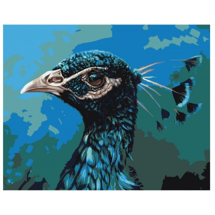 Maalaa numeroilla Z-AB212