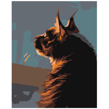 Maalaa numeroilla Z-AB215 Maalaa numeroilla Z-AB215