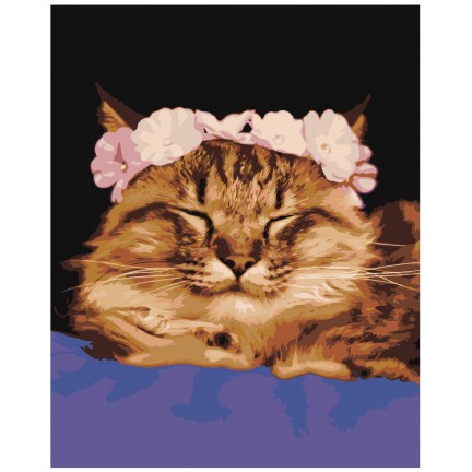 Maalaa numeroilla Z-AB217 Maalaa numeroilla Z-AB217