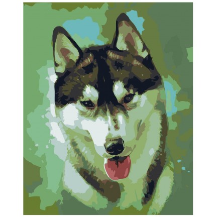 Maalaa numeroilla Z-AB232