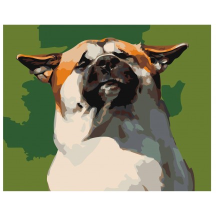 Maalaa numeroilla Z-AB233 Maalaa numeroilla Z-AB233