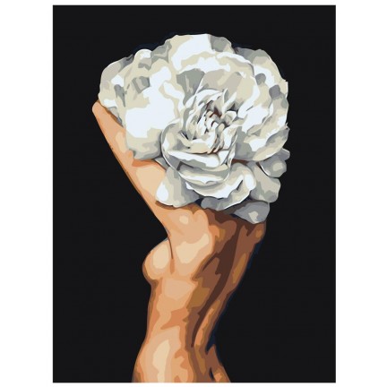 Maalaa numeroilla Z-AB254 Maalaa numeroilla Z-AB254