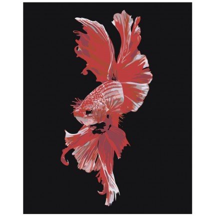 Maalaa numeroilla Z-AB283