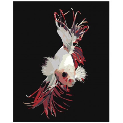 Maalaa numeroilla Z-AB284