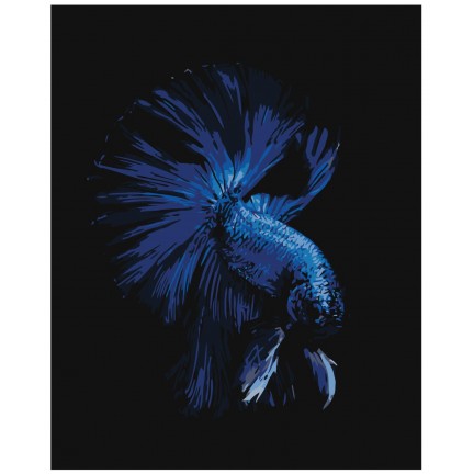 Maalaa numeroilla Z-AB285