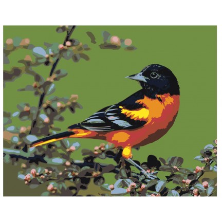 Maalaa numeroilla Z-AB293