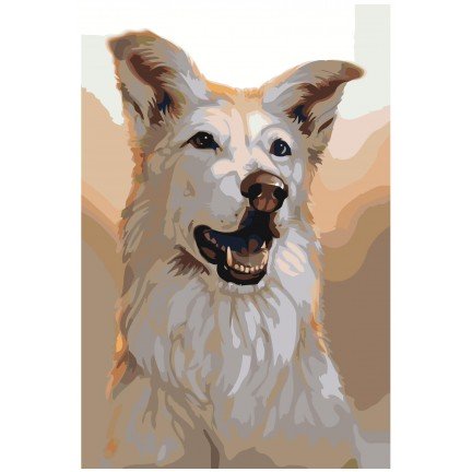 Maalaa numeroilla Z-AB2 Maalaa numeroilla Z-AB2