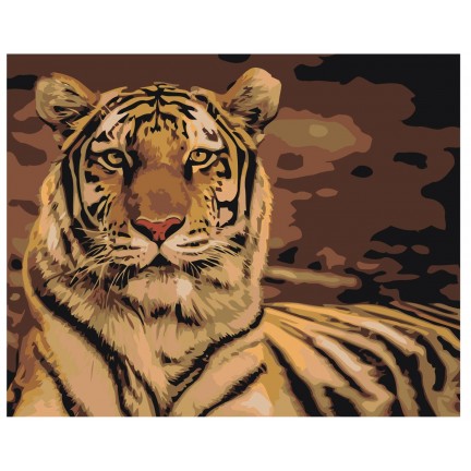 Maalaa numeroilla Z-AB302