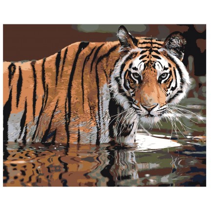 Maalaa numeroilla Z-AB307