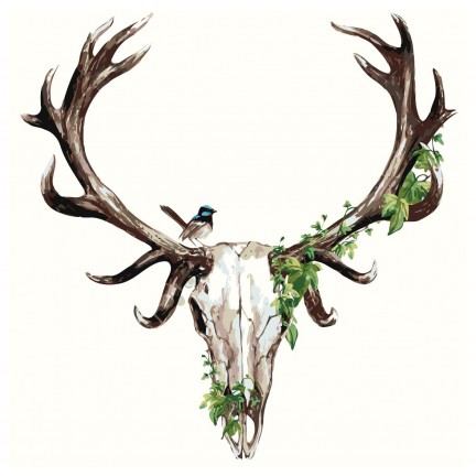 Maalaa numeroilla Z-AB331