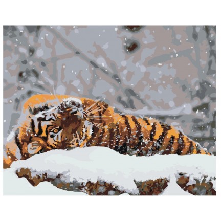 Maalaa numeroilla Z-AB375