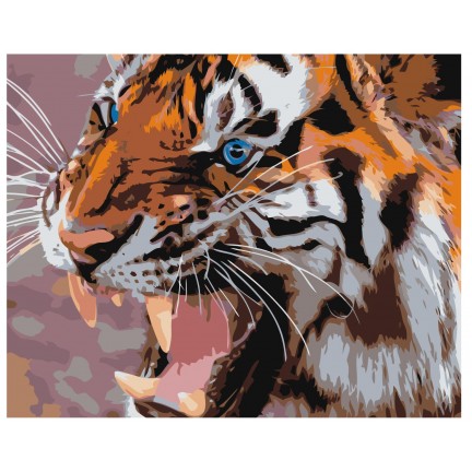 Maalaa numeroilla Z-AB380