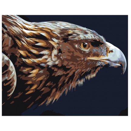 Maalaa numeroilla Z-AB420