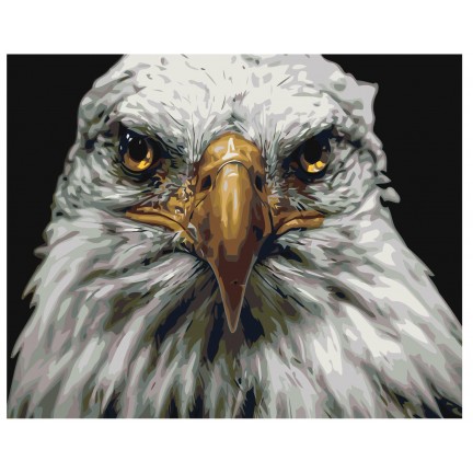 Maalaa numeroilla Z-AB421