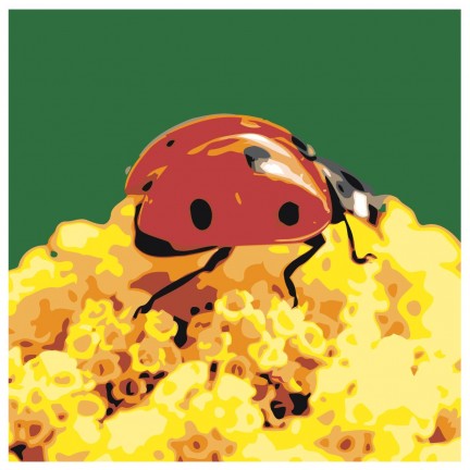 Maalaa numeroilla Z-AB428