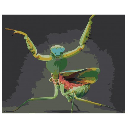 Maalaa numeroilla Z-AB429