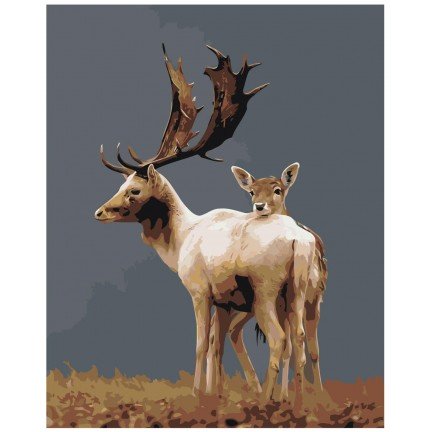 Maalaa numeroilla Z-AB431