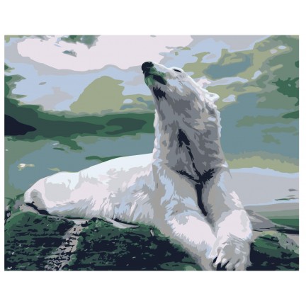 Maalaa numeroilla Z-AB433