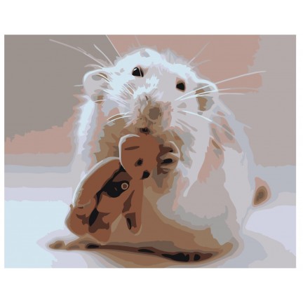 Maalaa numeroilla Z-AB444