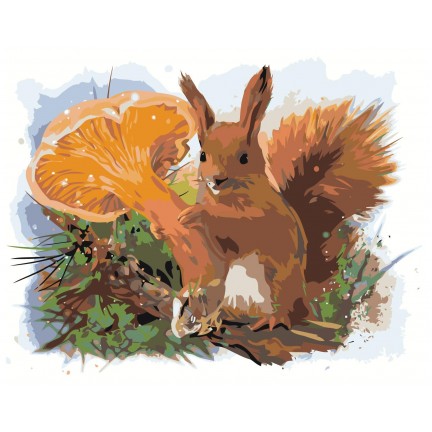 Maalaa numeroilla Z-AB57