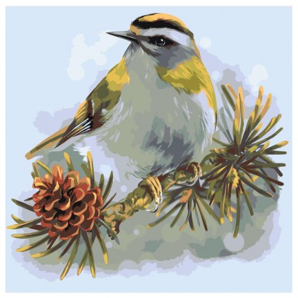 Maalaa numeroilla Z-AB61