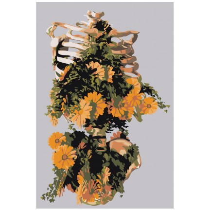 Maalaa numeroilla Z-AB655