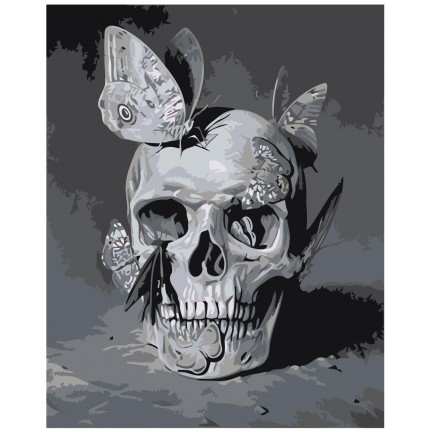 Maalaa numeroilla Z-AB664