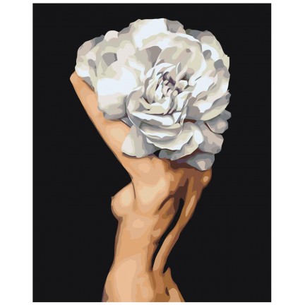 Maalaa numeroilla Z-AB716 Maalaa numeroilla Z-AB716