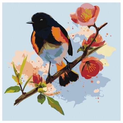 Maalaa numeroilla Z-AB7