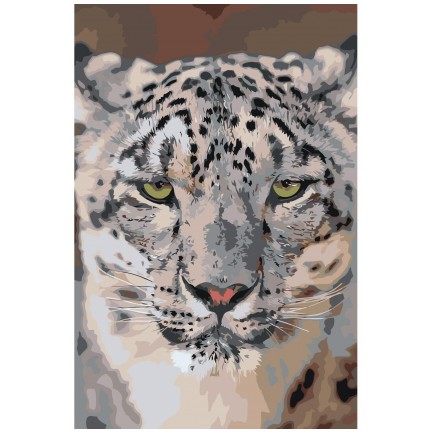 Maalaa numeroilla Z-MV216