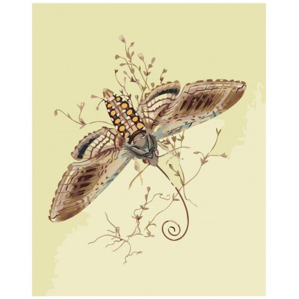 Maalaa numeroilla Z-NA166