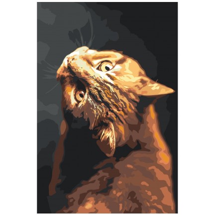 Maalaa numeroilla Z-NA21