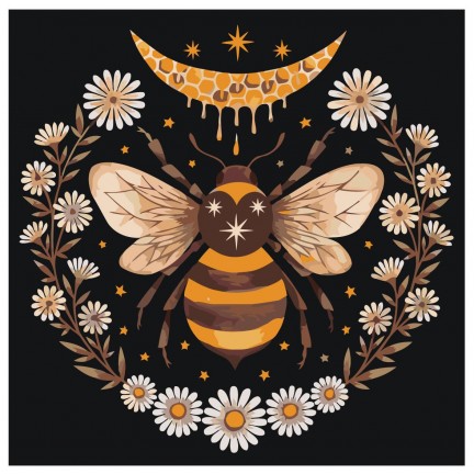 Maalaa numeroilla Z-NA25